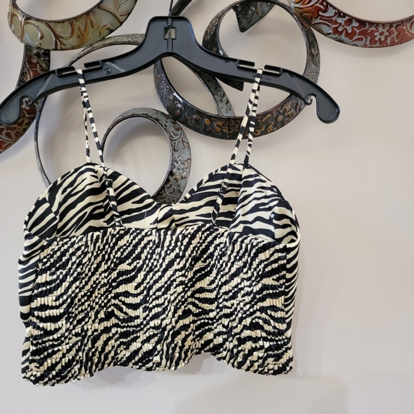 Sincerely Jules Zebra Print Camisole - Picture 7 of 11